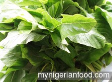 Efo Riro